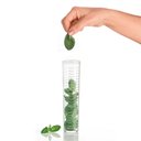 Ver imagem 3 de Jarra com Ampola de Infusão Bpa Free 11,5 x 18,5 X H25,5cm - 1,7 Lt - Tiffany - Transparente - Guzzi