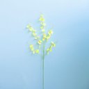 Ver imagem 2 de Kit C/ 6 Hastes de Orquídea Chuva de Ouro | Flor Artificial Formosinha
