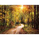 Ver imagem 2 de Papel de Parede Estrada Caminho Floresta 3d 6m² Nes105