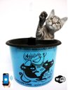 Ver imagem 1 de Bebedouro Plastico 1500ml azul Wifi torneira incolor filtro