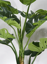 Ver imagem 2 de Planta Costela de Adão 12 Folhas 200cm Real Artificial Grande