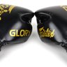 Luvas Fairtex Glory em Couro - 10 Oz - 6