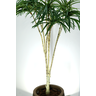Planta Dracena Folhagem Realista Artificial Verde 1.64m - 3