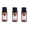 Kit 3 Essências Flor De Figo - 10Ml Via Aroma - 1
