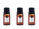 Ver imagem 1 de Kit 3 Essências Musk - 10Ml Via Aroma