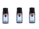 Ver imagem 1 de Kit 3 Essências Hortênsia - 10Ml Via Aroma