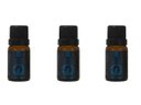 Ver imagem 1 de Kit 3 Essências Dubai/Lírio Gold - 10Ml Via Aroma