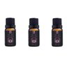Kit 3 Essências Berlim/Wood Intense - 10Ml Via Aroma - 1