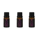 Ver imagem 1 de Kit 3 Essências Amesterdã/Tulipa Garden - 10Ml Via Aroma