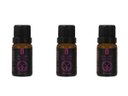 Ver imagem 1 de Kit 3 Essências Amesterdã/Tulipa Garden - 10Ml Via Aroma