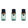 Kit 3 Essências Verbena - 10Ml Via Aroma - 1