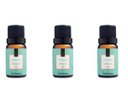 Ver imagem 1 de Kit 3 Essências Verbena - 10Ml Via Aroma