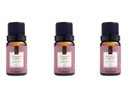 Ver imagem 1 de Kit 3 Essências Pitanga Preta - 10Ml Via Aroma