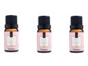 Ver imagem 1 de Kit 3 Essências Peônia Garden - 10Ml Via Aroma