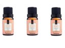 Ver imagem 1 de Kit 3 Essências Flor De Pitanga - 10Ml Via Aroma