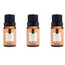 Ver imagem 1 de Kit 3 Essências Canela Da Índia - 10Ml Via Aroma