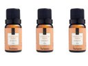 Ver imagem 1 de Kit 3 Essências Canela Da Índia - 10Ml Via Aroma