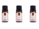 Ver imagem 1 de Kit 3 Essências Delicatê - 10Ml Via Aroma