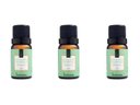 Ver imagem 1 de Kit 3 Essências Eucalipto E Hortelã - 10Ml Via Aroma