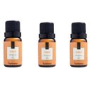 Ver imagem 1 de Kit 3 Essências Ambar - 10Ml Via Aroma