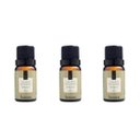Ver imagem 1 de Kit 3 Essências Alecrim Silvestre - 10Ml Via Aroma