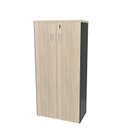 Ver imagem 5 de Armário para Escritório Alto Fechado 1.60x80x42 F.15mm - Carvalho