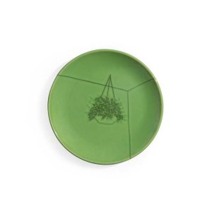 Conjunto com 6 Pratos de Sobremesa Coup Cachepot de Tomilho Ervas Ø 20,5cm
