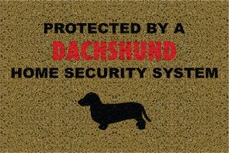 Tapete Capacho Personalizado - Dachshund Home Security - 2