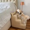 Escadinha Pet 3 Degraus Cachorro Escada Cão Bege Suede Grace - 1