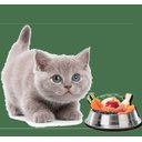 Ver imagem 2 de Nutroplus Suplemento Alimentício para Gatos Filhotes e Adultos - 100G