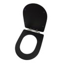 Ver imagem 3 de Tampa de Vaso Sanitário Laqueado Carrara P/Deca Preto Fosco