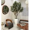 Árvore Oliveira Artificial Planta Premium Realista com 2.50m. - 1