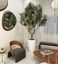 Ver imagem 1 de Árvore Oliveira Artificial Planta Premium Realista com 2.50m.