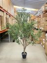 Ver imagem 3 de Árvore Oliveira Artificial Planta Premium Realista com 2.50m.