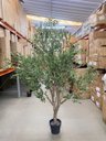 Ver imagem 6 de Árvore Oliveira Artificial Planta Premium Realista com 2.50m.