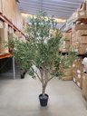 Ver imagem 5 de Árvore Oliveira Artificial Planta Premium Realista com 2.50m.