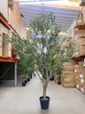 Ver mais imagens de Árvore Oliveira Artificial Planta Premium Realista com 2.50m.