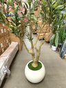 Ver mais imagens de Árvore Oliveira Artificial Planta Premium Realista com 2.50m.