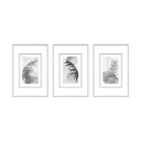 Ver imagem 1 de Kit 3 Quadros Decorativos Folhagem 60x40 com Molduras Boiserie