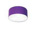 Ver imagem 1 de Plafon para Home Cilíndrico Sh-3010 Cúpula Cor Roxo