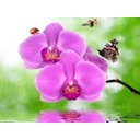 Ver imagem 2 de Papel De Parede Floral Flores Textura Sala 3D 3M² Xfl238