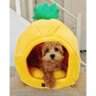 Fun Bed Pineapple Cama para Cães e Gatos Formato de Abacaxi - 5