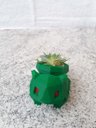 Ver imagem 3 de Vaso Suculenta - Bullbassauro - Impresso em 3D