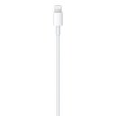 Ver imagem 2 de Cabo Tipo C para Lightning Recarregar e Sincronizar USB-C Thunderbolt 3 Apple