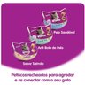 Petisco Gato Temptations Pelo Saudável - 40gr 6 Unidades - 4