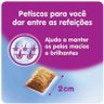 Petisco Gato Temptations Pelo Saudável - 40gr 6 Unidades - 6