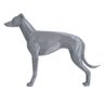 Galgo Italiano Impressão 3D P Prata - 2