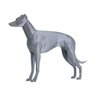 Galgo Italiano Impressão 3D P Prata - 1