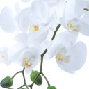 Ver imagem 2 de Arranjo de Orquídeas Brancas de Silicone em Vaso Nude