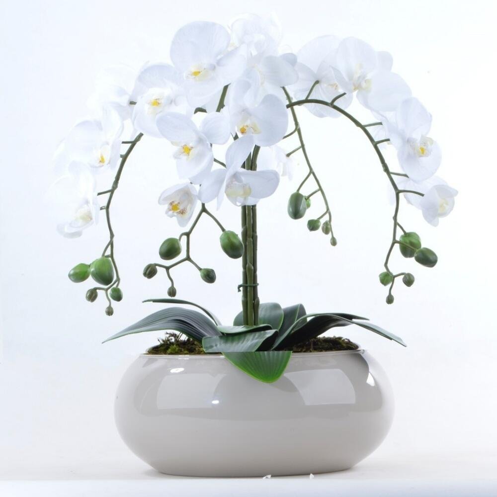 Arranjo de Orquídeas Brancas de Silicone em Vaso Nude - 1